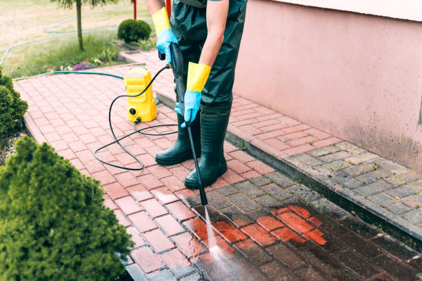 Best Roof Pressure Washing  in North Wildwood, NJ